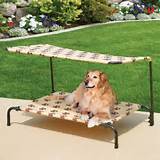 Outdoor Beds For Dogs