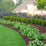 Landscaping Videos Images