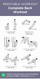 Back Workout Exercises Photos