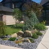 Low Maintenance Yard Landscaping Pictures