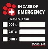 Free Pet Emergency Stickers Photos