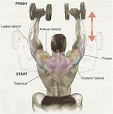 Muscle Workout Shoulders Images