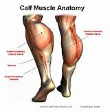 Calf Muscle Exercises Images