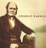Darwins Theory Of Evolution Charles