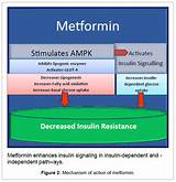 Victoza And Metformin Side Effects Pictures
