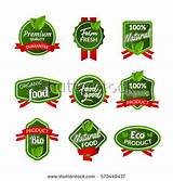 Sticker Design For Food Pictures