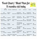 1 Year Old Baby Food Schedule Images