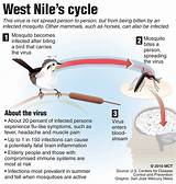 Pictures of West Nile Virus Recovery