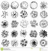 Landscaping Design Symbols Photos