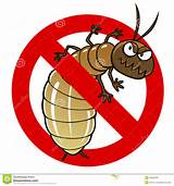 Photos of Anti Termite Treatment Method Statement