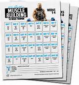 Muscle Workout Calendar Pictures