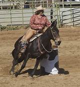 Barrel Racing Pattern Size Pictures