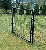 Electric Dog Fence For Small Dogs Pictures