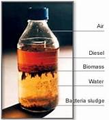 Is Diesel Oil Bad For Gas Engines Pictures