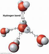 What Is A Hydrogen Bond Pictures