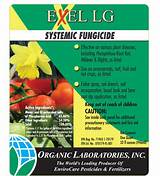 Organocide Plant Doctor Systemic Fungicide Pictures