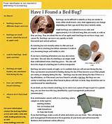 Photos of Cdc Bed Bug Treatment