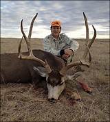Images of South Dakota Pheasant Hunting License Non Resident