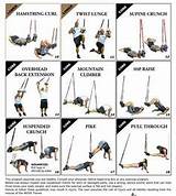 What Is Trx Exercises Pictures