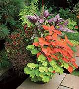 Planting Fall Flowers Containers Photos