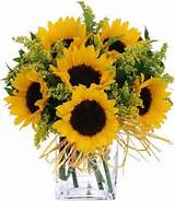 Flower Arrangements Using Sunflowers Images