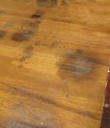 Floor Wood Stain Photos