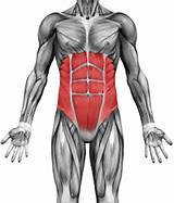 Strengthening Your Core Muscles Images