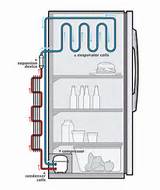 Photos of Refrigerator Components Diagram