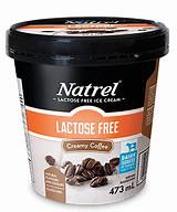 Images of Good Lactose Free Ice Cream