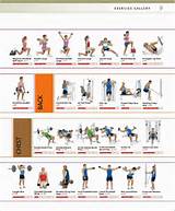 Pictures of Muscle Strengthening Exercises Examples