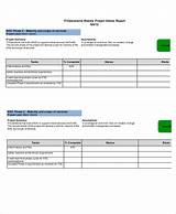 Project Management Weekly Status Report Template