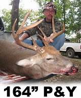 Deer Hunting Ohio Outfitters Images