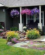Photos of Landscaping Key Plants