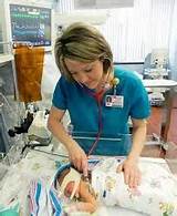 Nurse Practitioner School Requirements Texas