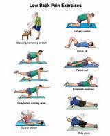 Physiotherapy Exercises