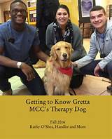 Therapy Dog Books Pictures