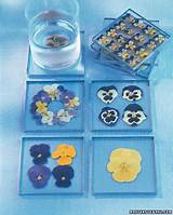 Pressed Flower Coasters Images