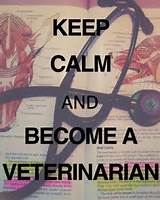 What To Do To Become A Veterinary Doctor Pictures