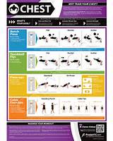 Gym Workout Exercises Chart Photos