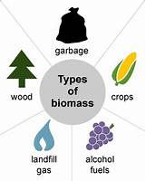 Images of Biomass Is It Renewable