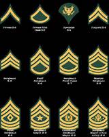 The Ranks In The Army Images