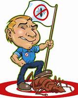 Images of What Is Pest Control Services