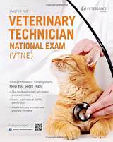 Veterinary Technician Forum Images