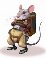 Rat In Spanish