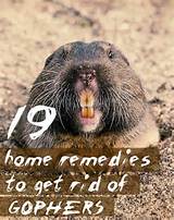 Hanging Mole Removal Home Remedies Photos