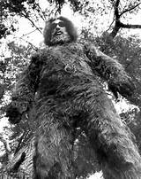 Six Million Dollar Man Return Of Bigfoot