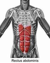 Pictures of Rectus Abdominis Muscle Strengthening Exercises