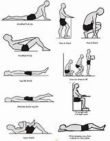 Back Muscle Strengthening Exercises Videos Pictures