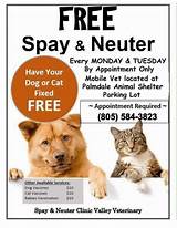 Free Mobile Spay And Neuter Clinic Photos
