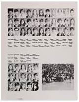 Shoreline High School Class Of 1977 Images